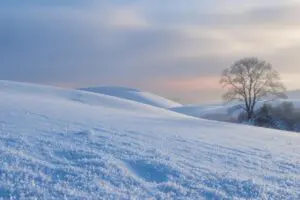 Hoe fotografeer je in sneeuw?