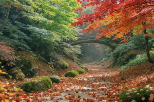 De Dood van de Indexicaliteit