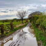15 creatieve fototips voor regenachtige dagen