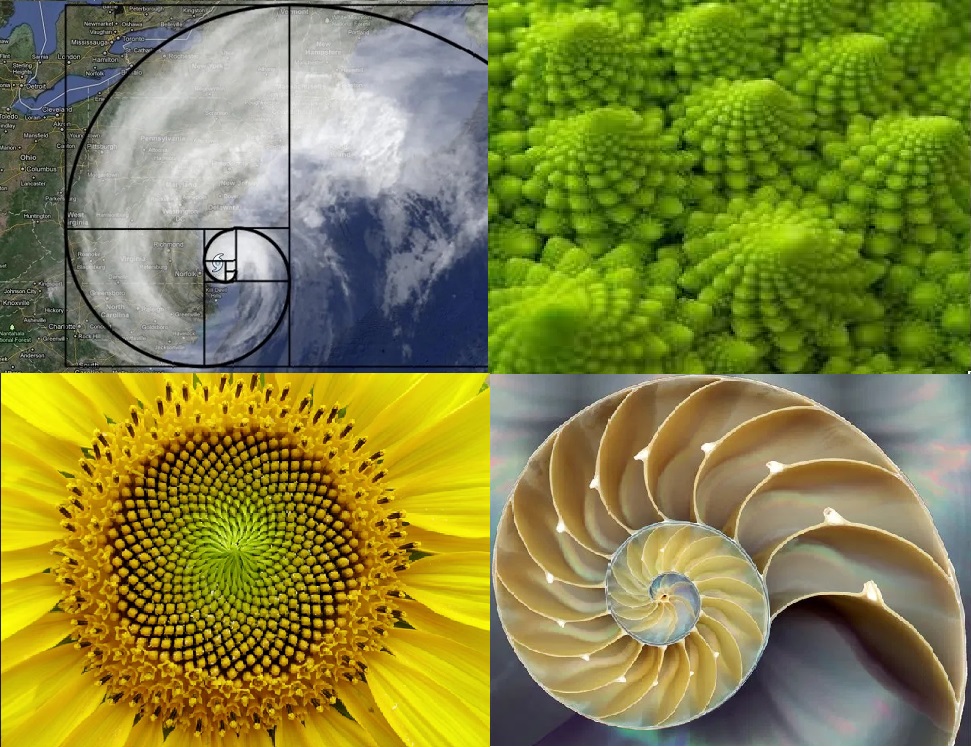 voorbeelden gulden snede