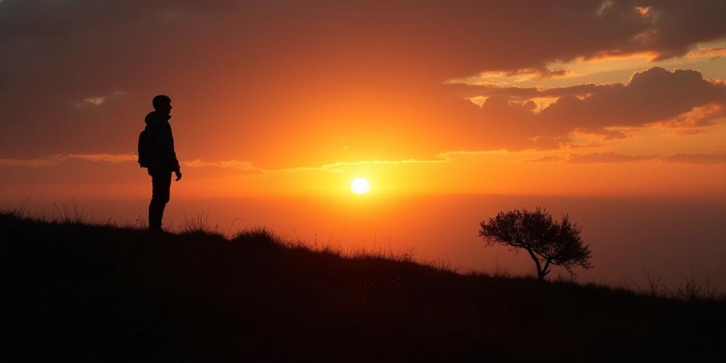 Silhouet fotografie tegen zonsondergang