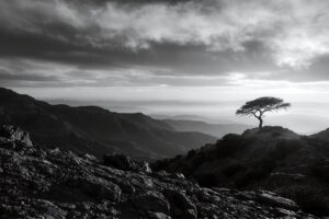 Landschappen fotograferen in zwart-wit