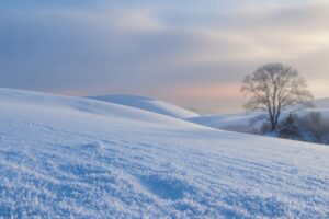 Hoe fotografeer je in sneeuw?