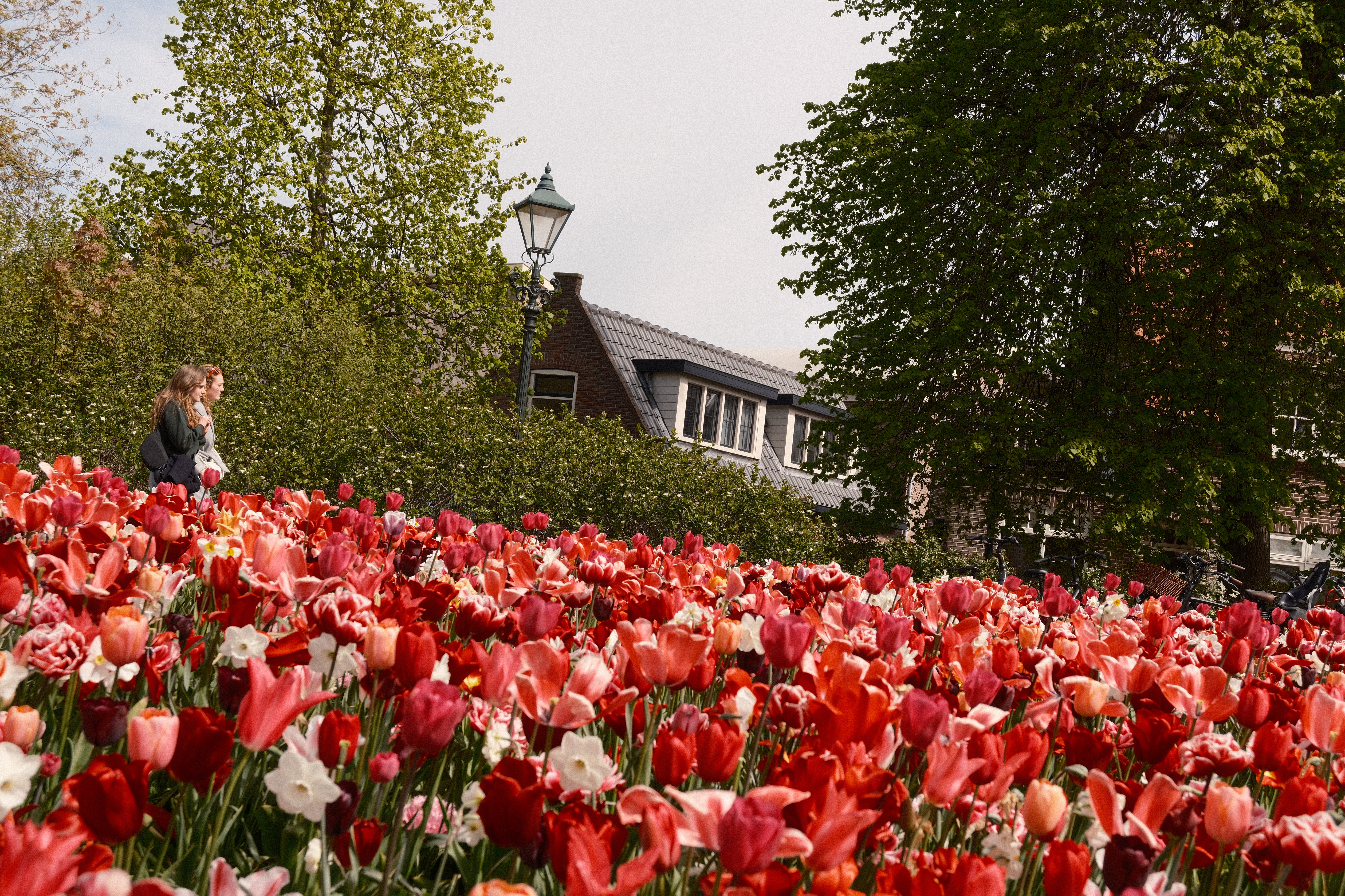 Koningsdag gefotografeerd met Nostagic Neg (Fujifilm-simulatie)