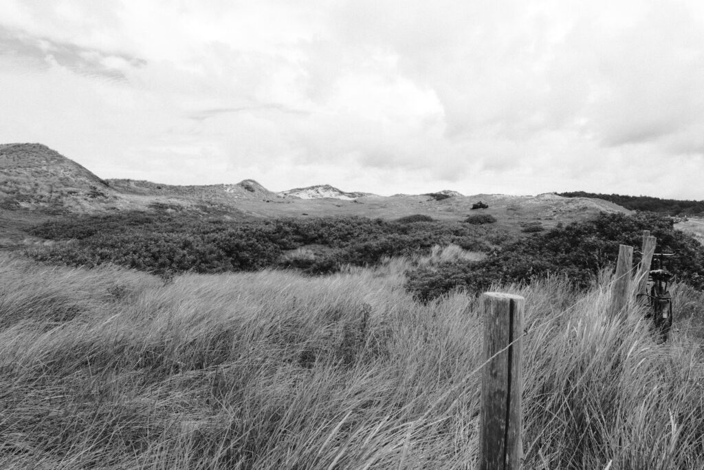 Duinen van Schoorl met fiets tegen hek, zwart wit