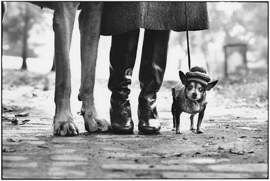 Elliott Erwin photo with a small and a big dog