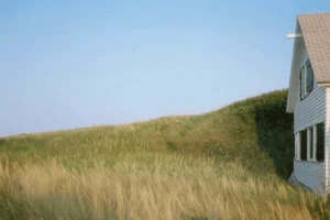 Dune Grass House, Truro, Massachusetts, 1984 by Joel Meyerowitz
