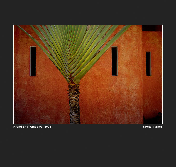 Pete Turner, tree