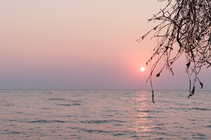 zonsopgang met tak van een boom in Malawi