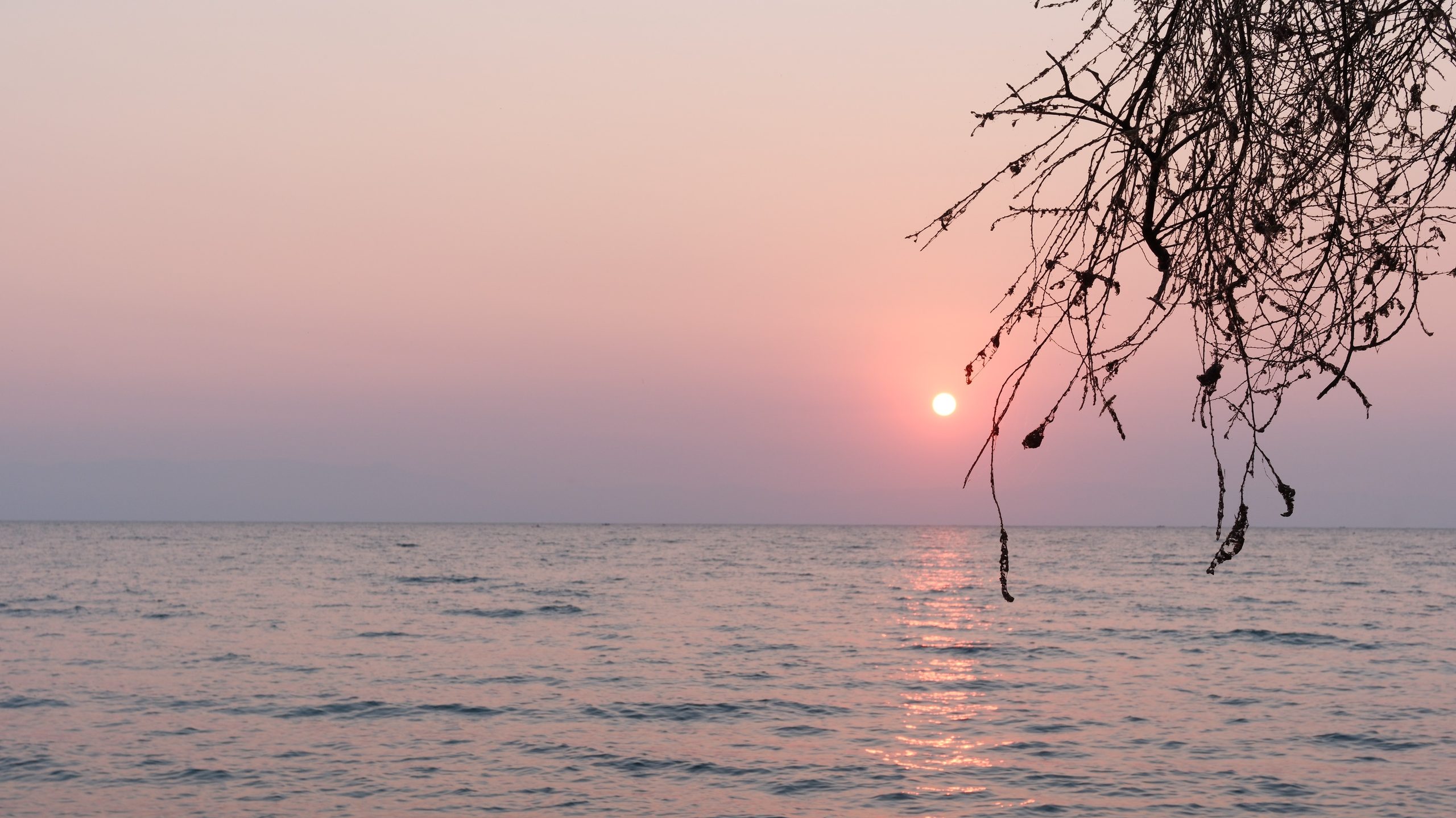 zonsopgang met tak van een boom in Malawi
